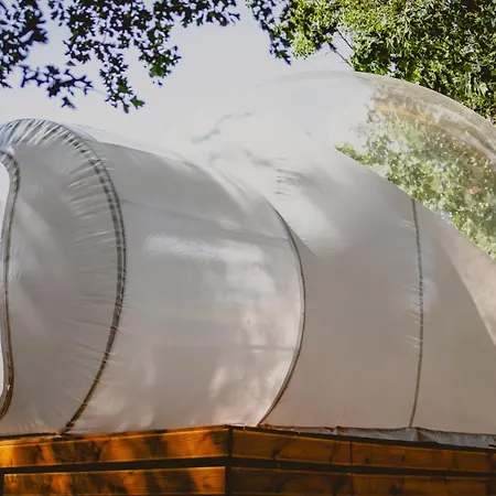 Golden Glamping Nad Narwia